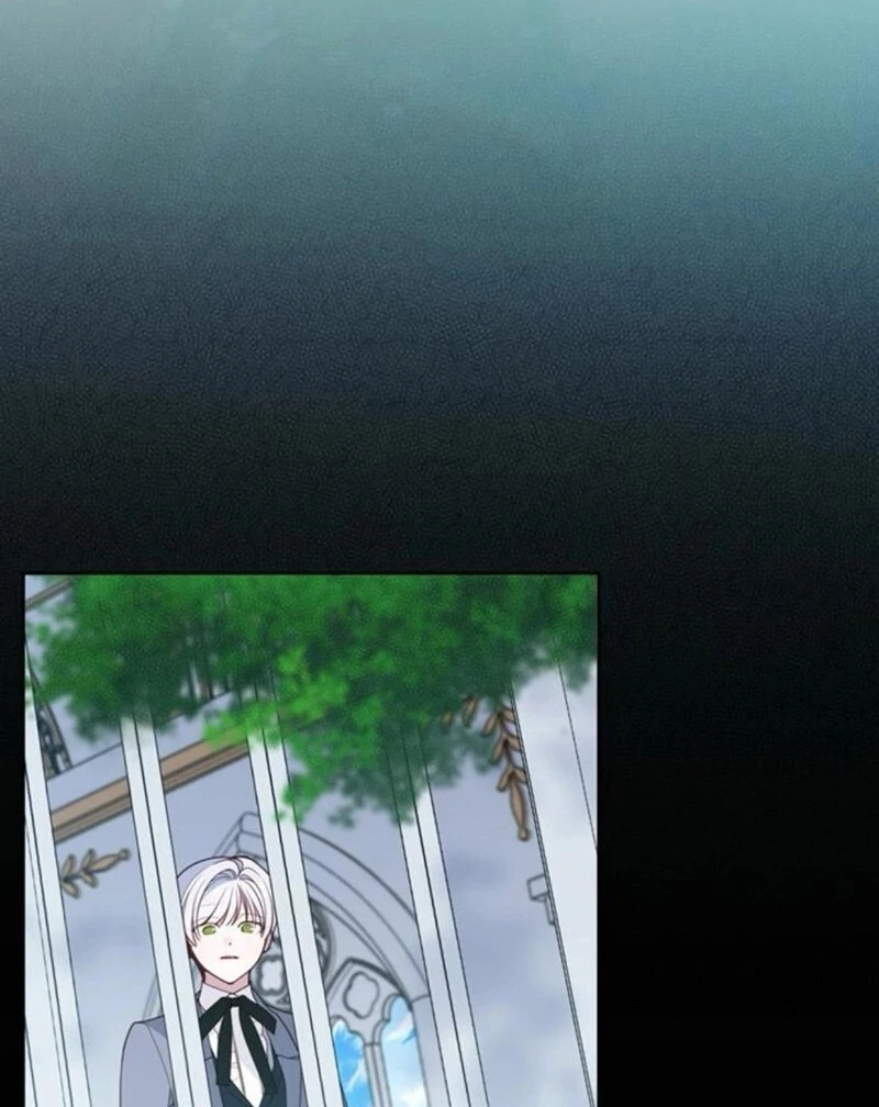 ch 117 83