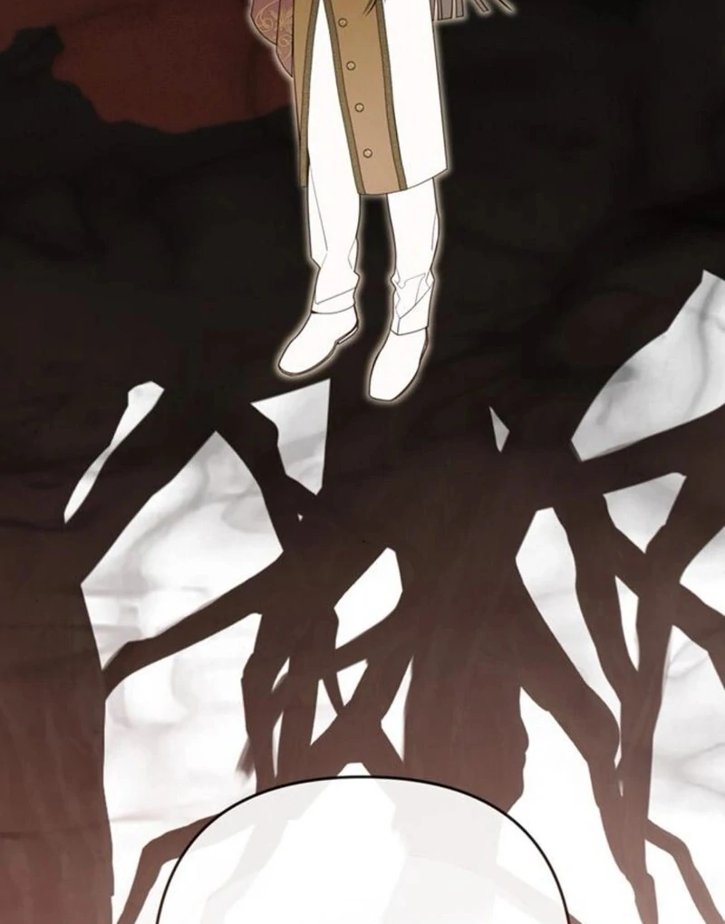 ch 118 138