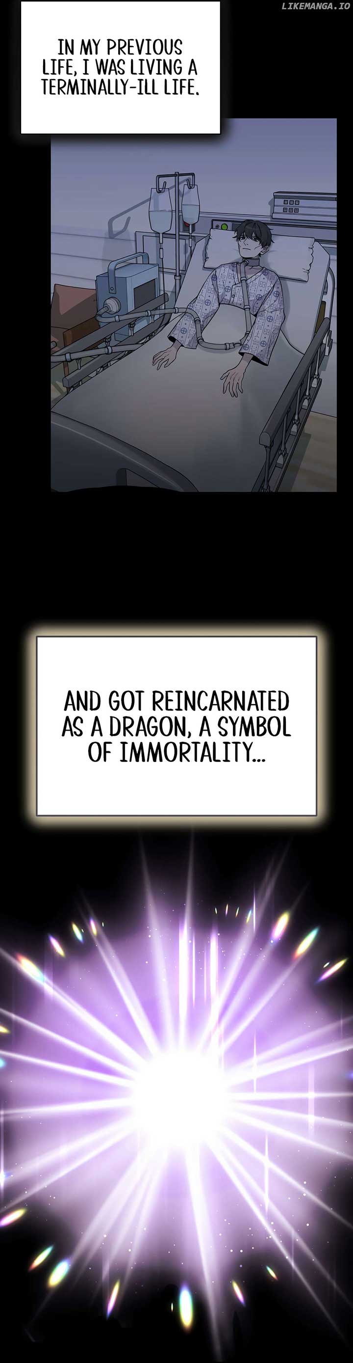 How to Survive as a terminally-ill Dragon Chapter 0.1 126 11