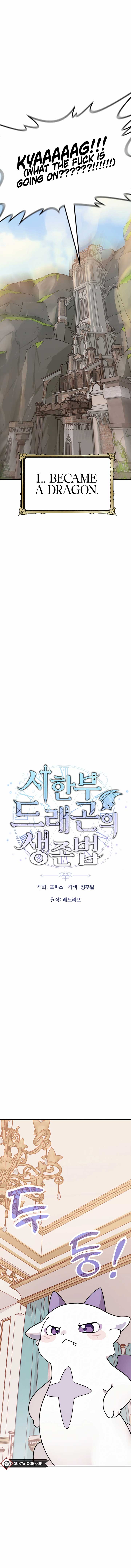 How to Survive as a terminally-ill Dragon Chapter 1 119 13