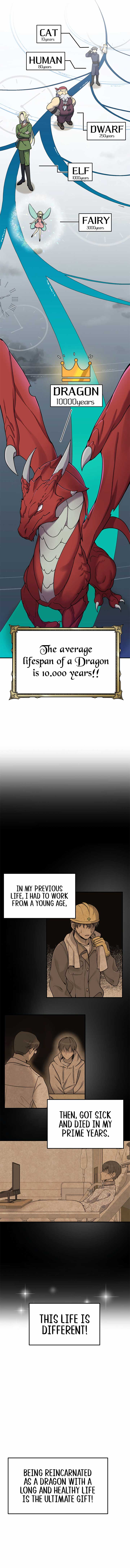 How to Survive as a terminally-ill Dragon Chapter 1 122 16