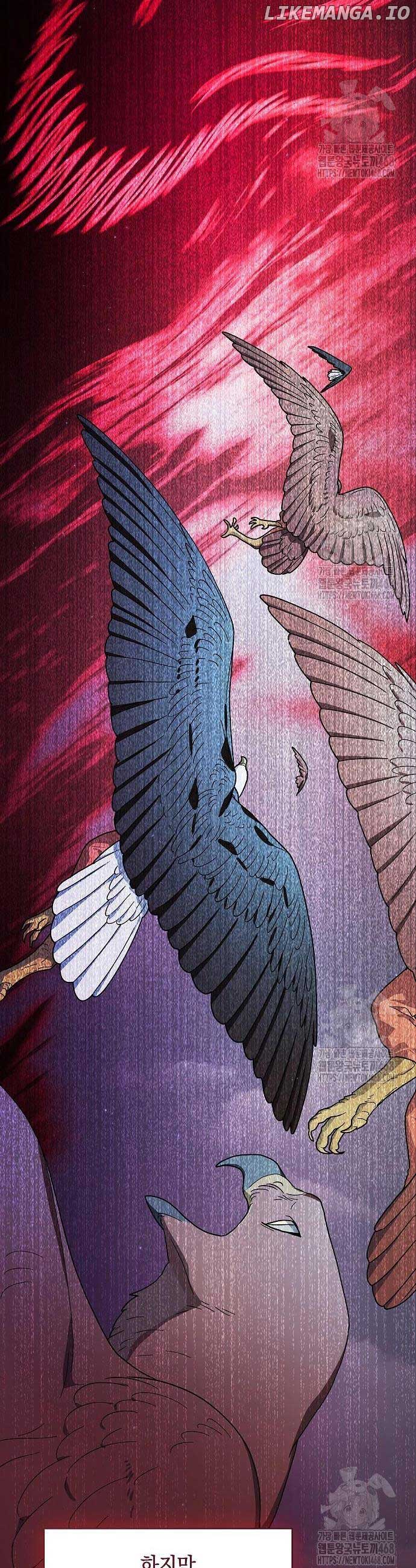ch 81 54