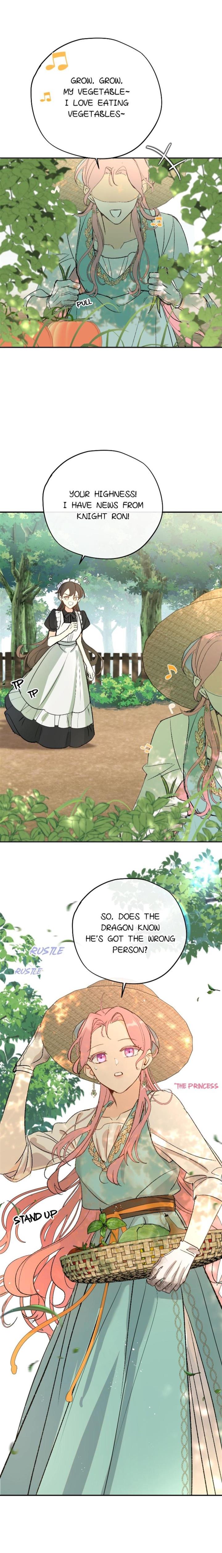 The Priest Dreaming of a Dragon Chapter 13 62 01