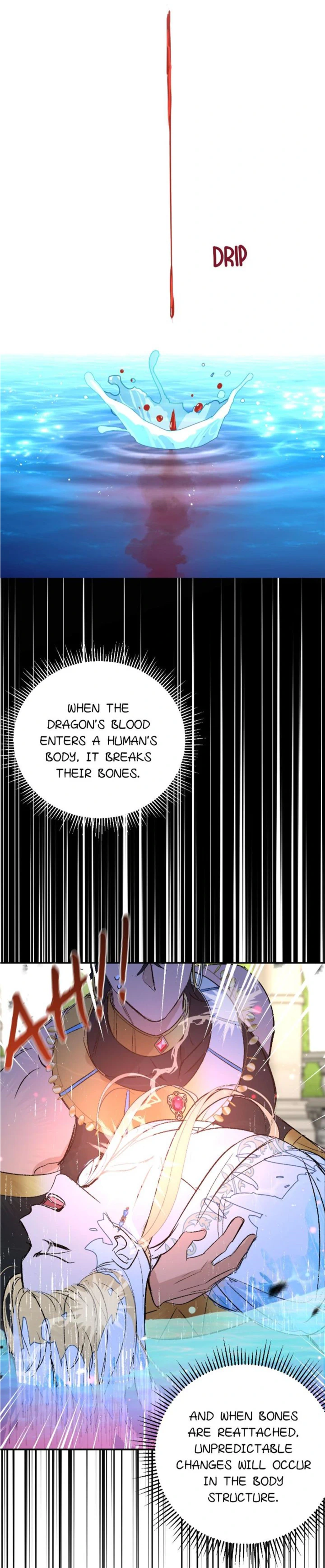 The Priest Dreaming of a Dragon Chapter 15 73 13