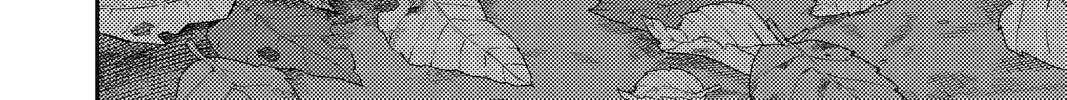 725e0044a175