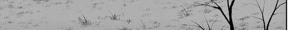 82bfaf623d4d