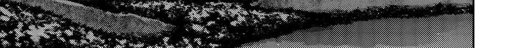 dedbb3e407d0