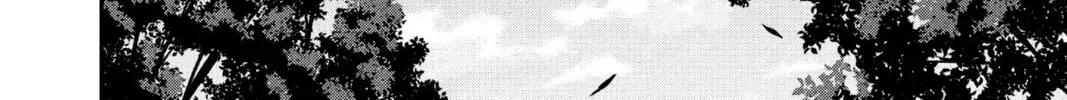 c93bd263bd3a