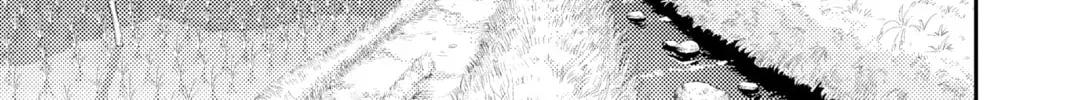 495ad02164e4