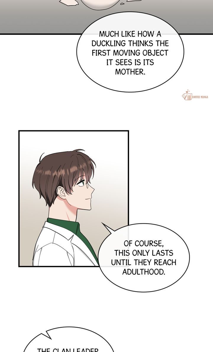 ch 82 41