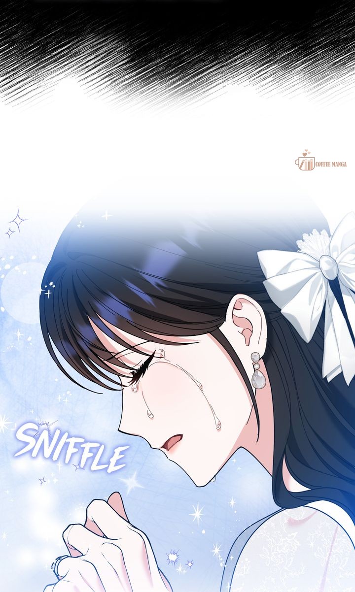 ch 85 41