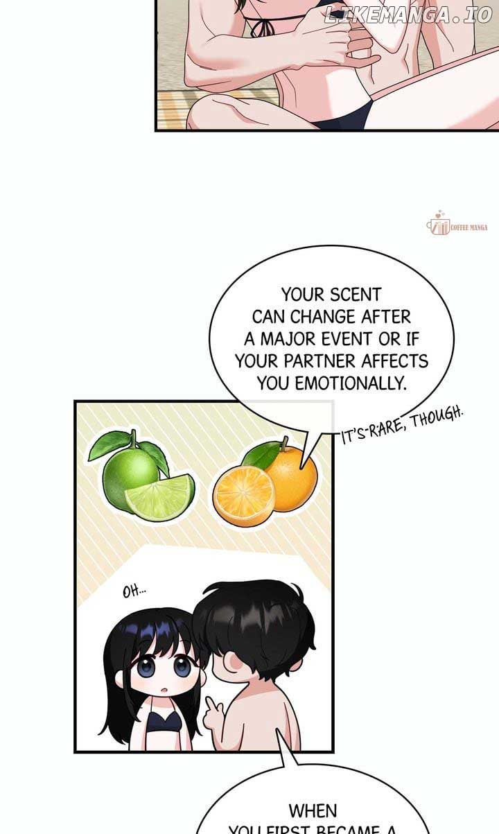 ch 90 17
