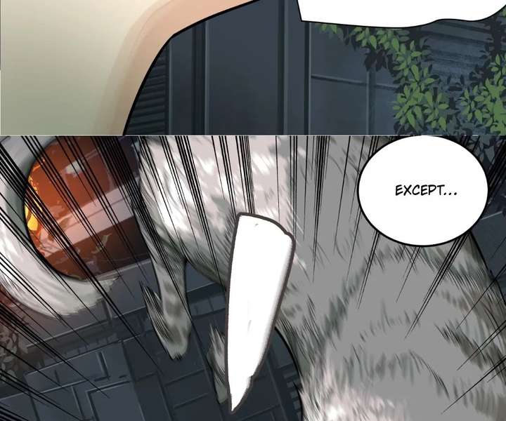 The Creatures that We Are Chapter 20 290 020