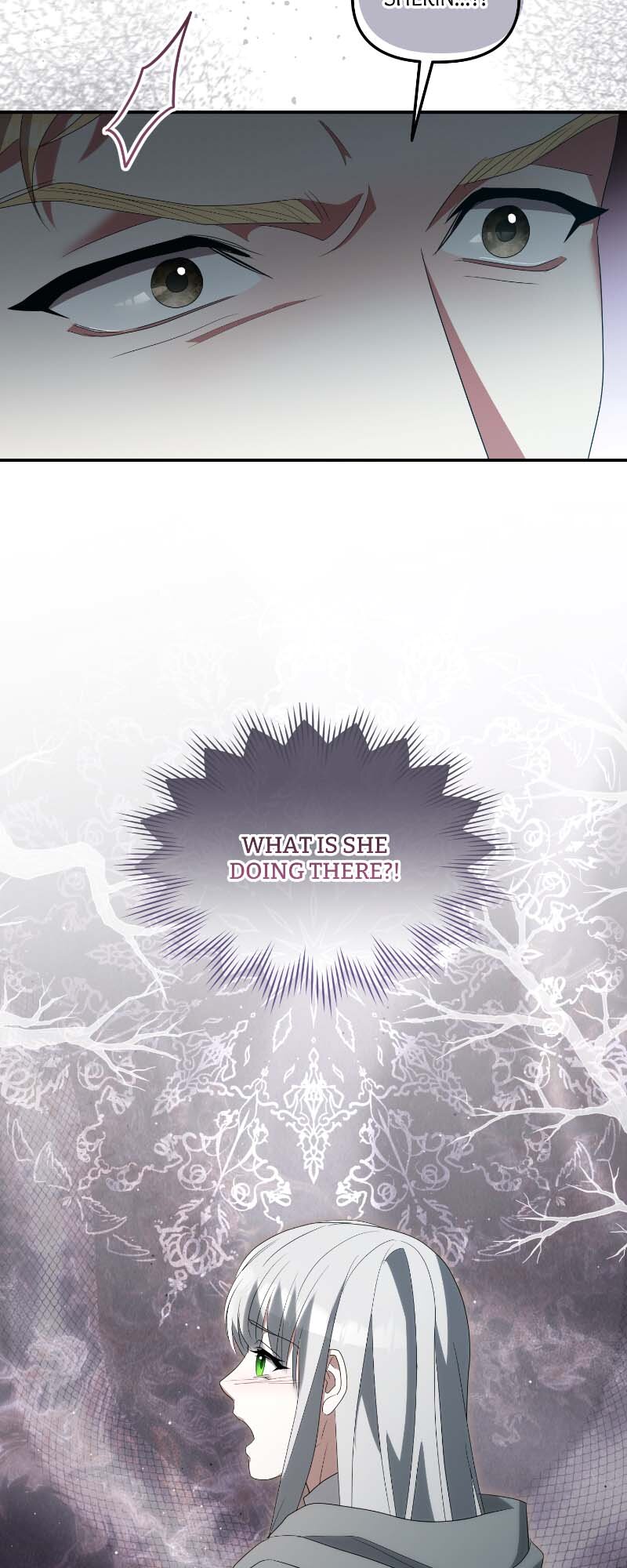 ch 117 31