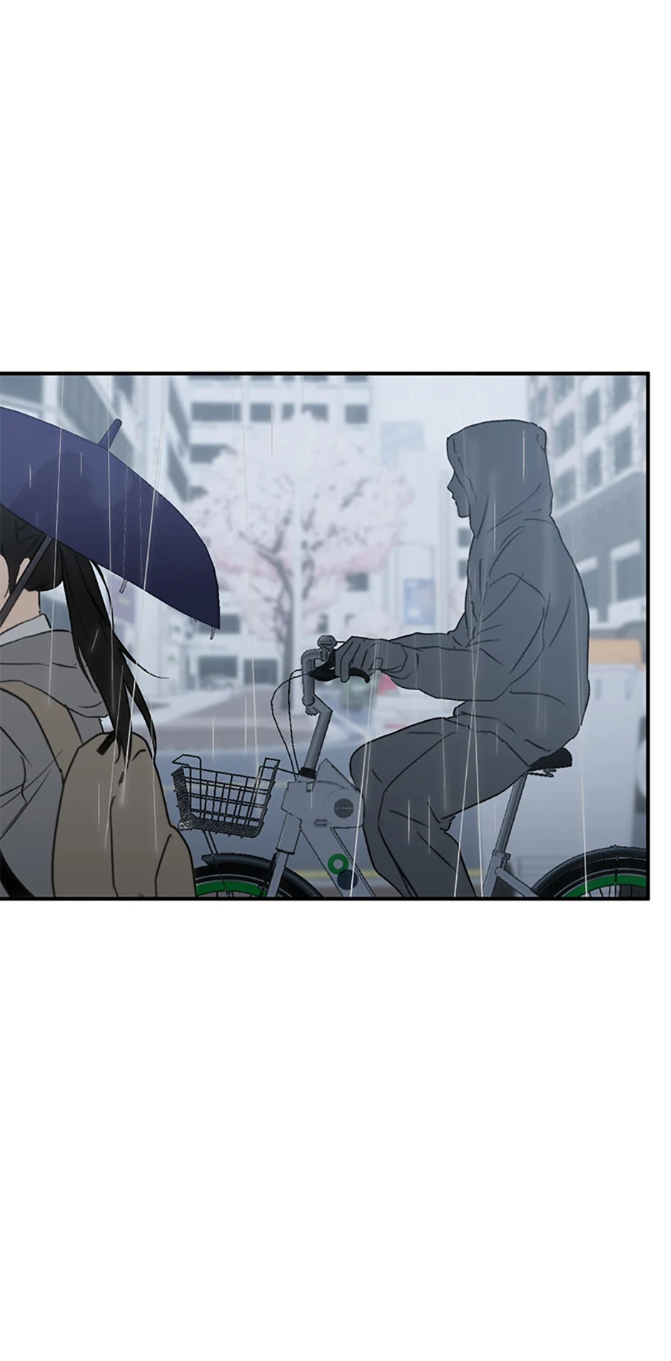 ch 81 51