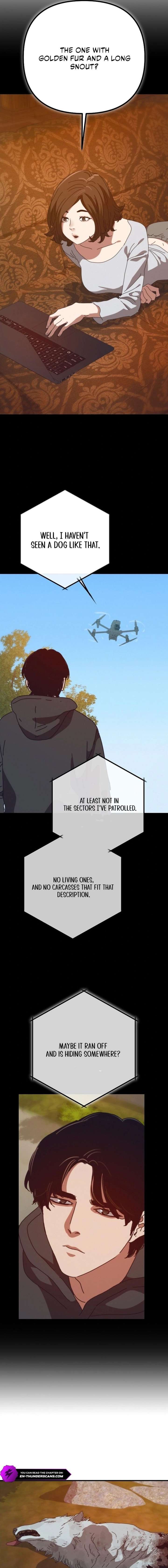 ch 81 17