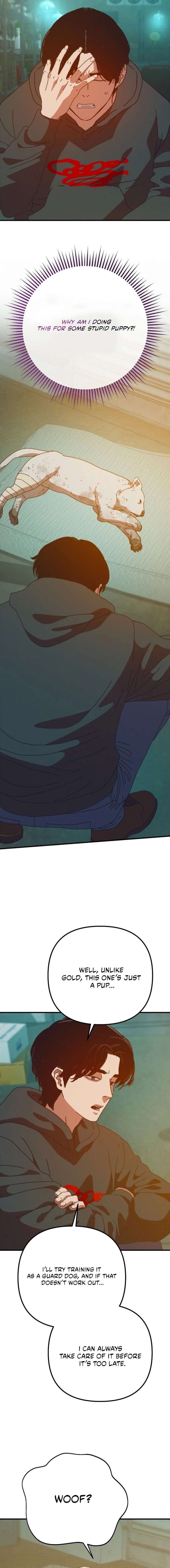 ch 81 20
