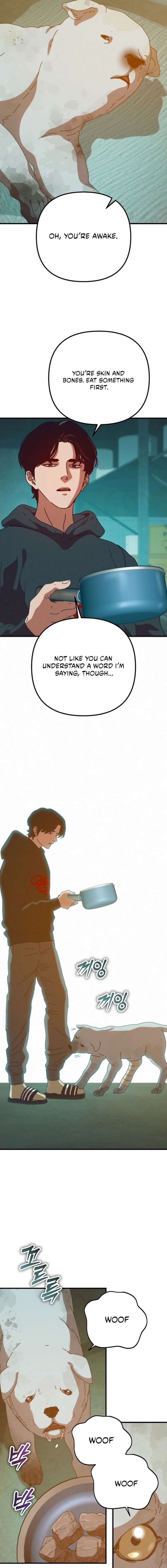 ch 81 21