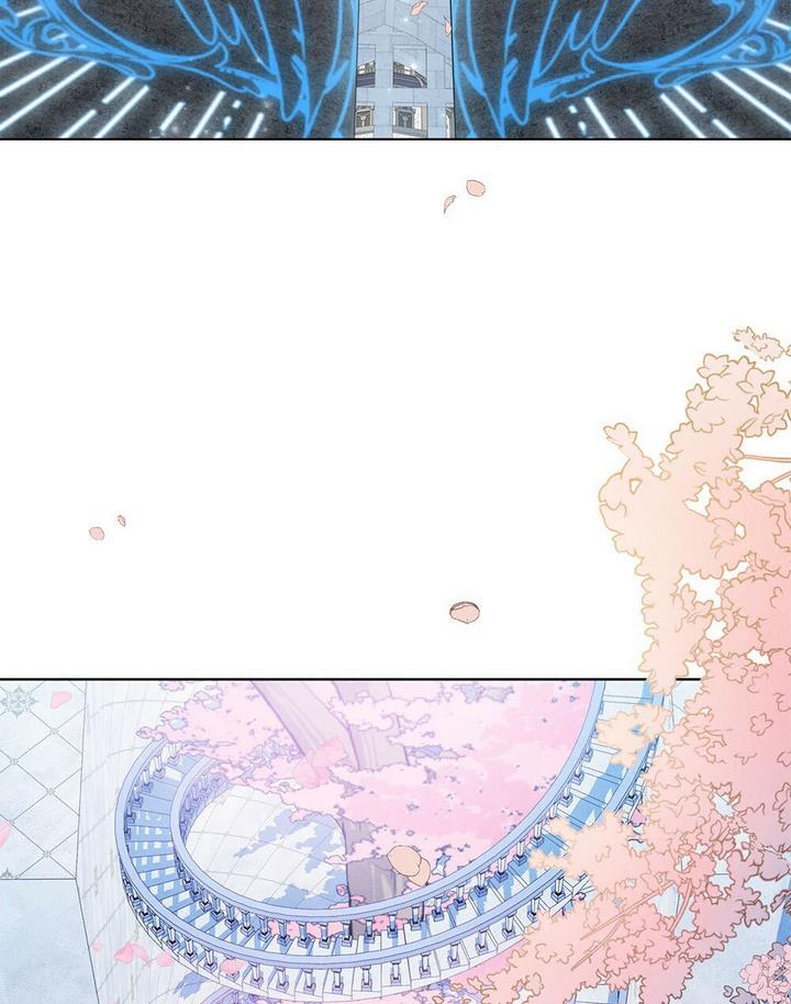 81