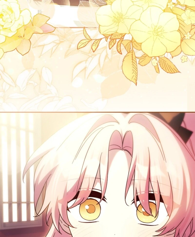 ch 113 21