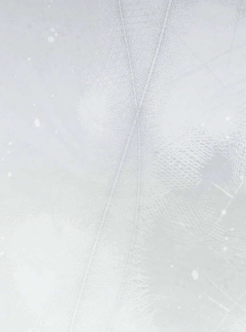 062