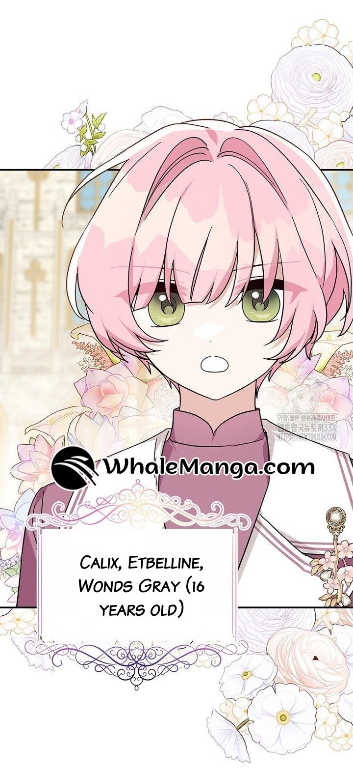 The Youngest Daughter of the Villainous Duke Chapter 86 221 39