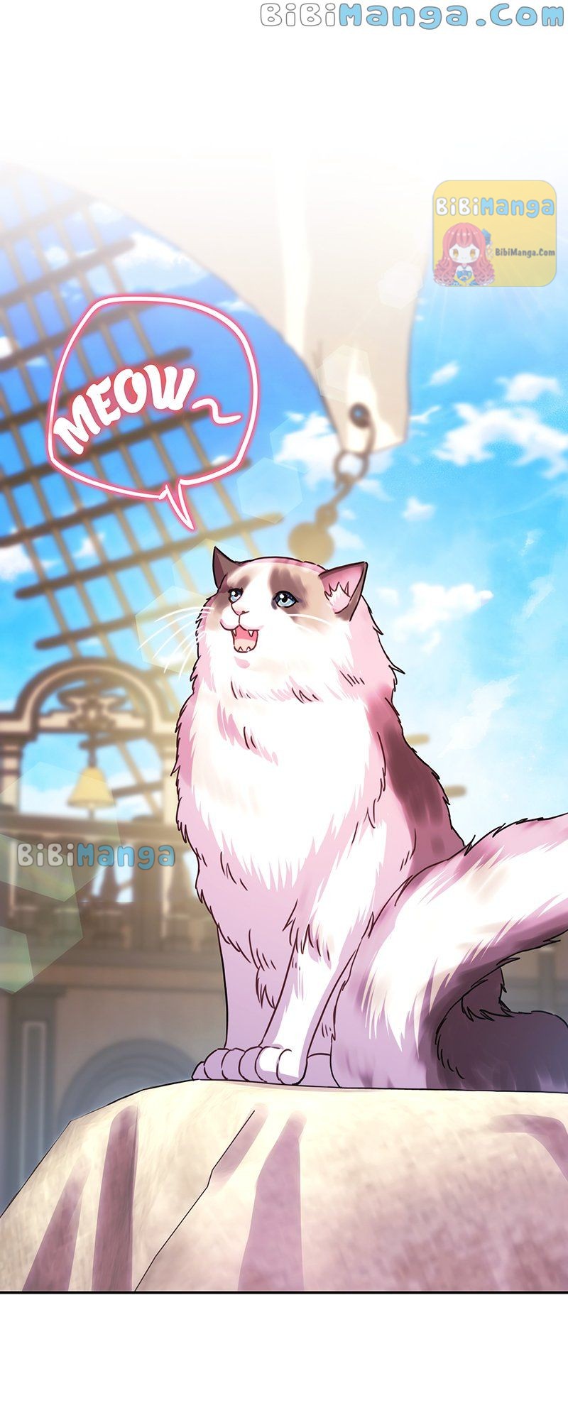 Another Typical Fantasy Romance Chapter 61 293 42