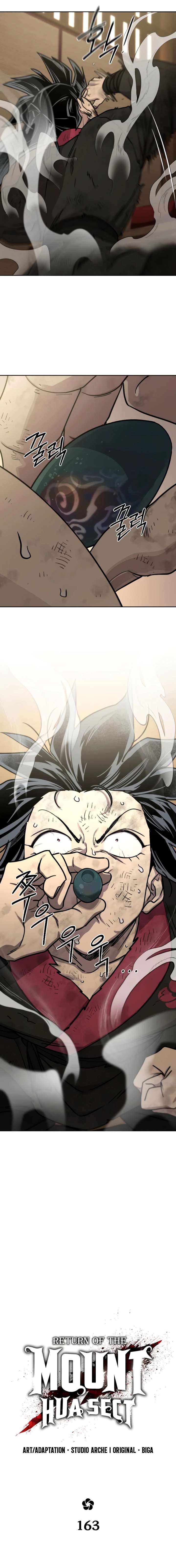 ch 163 8