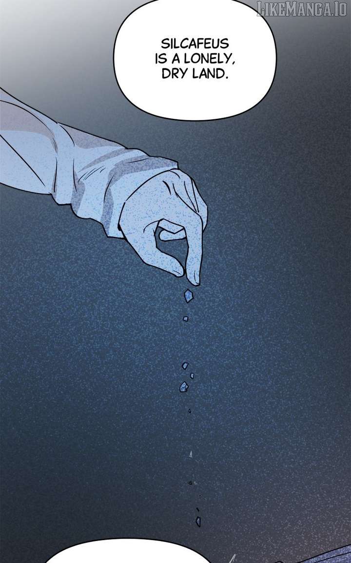 81