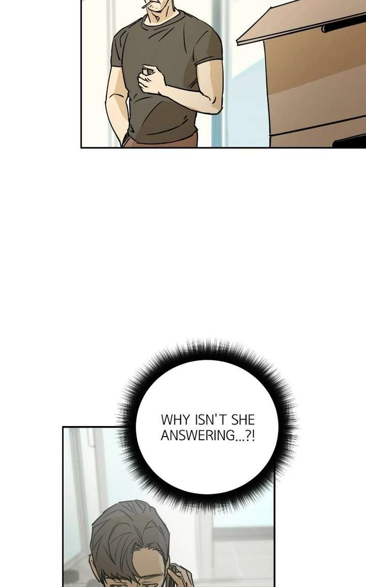 ch 81 2