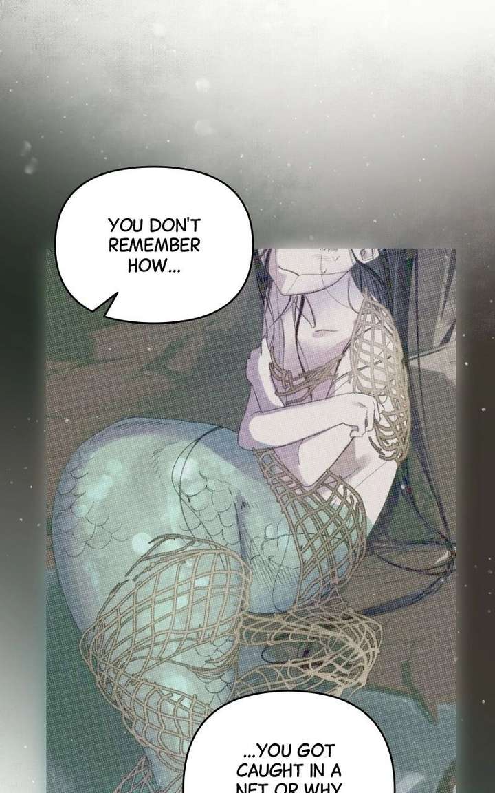 ch 81 20