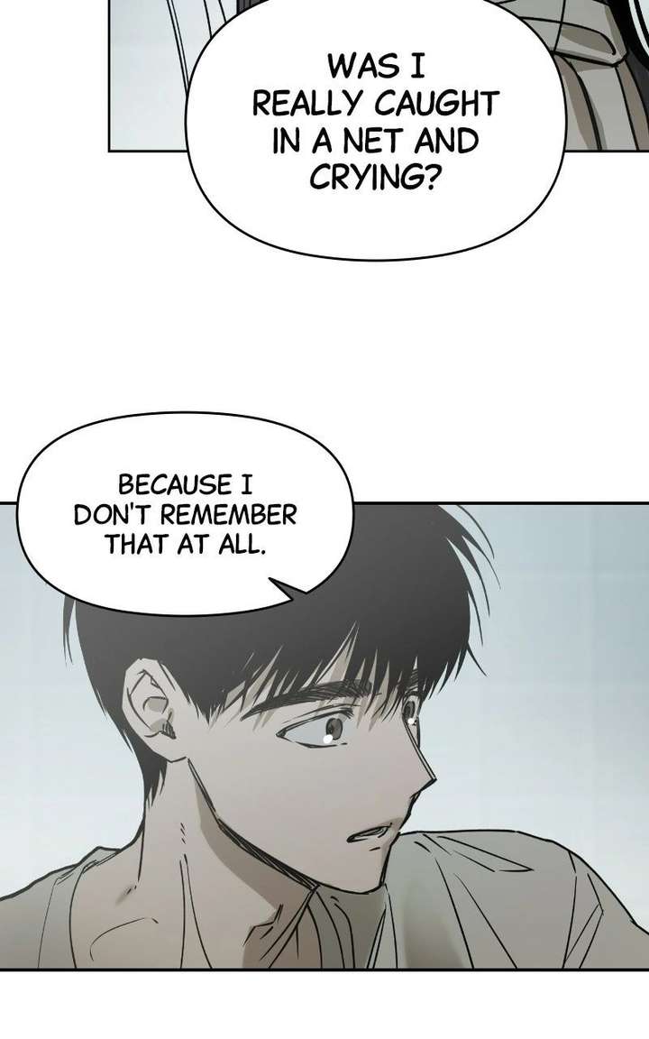 ch 81 22