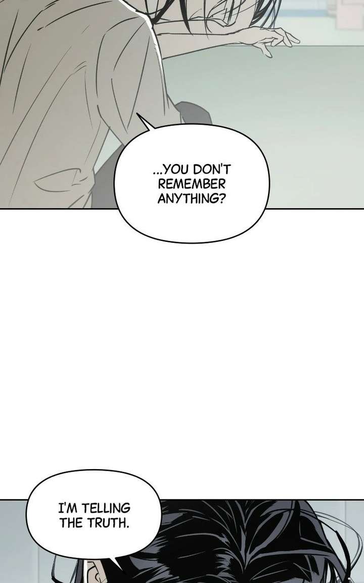 ch 81 28