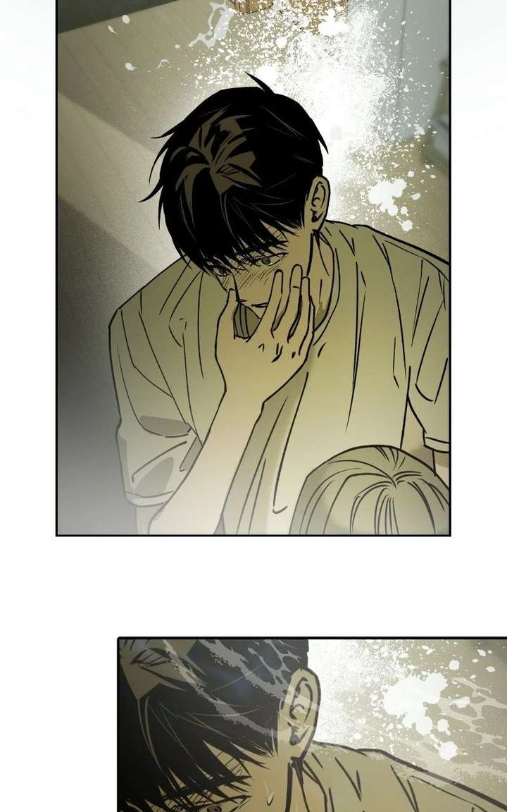 ch 81 61