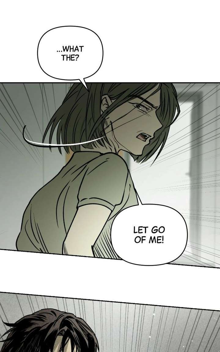 ch 81 64
