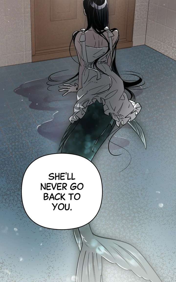 ch 81 74