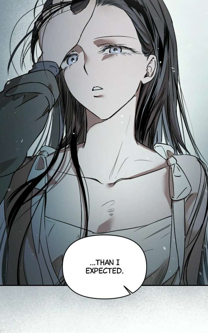 ch 85 21