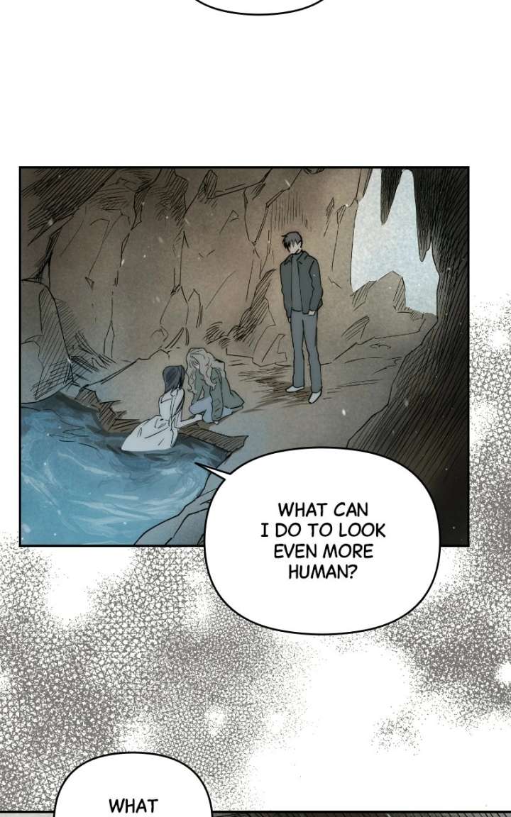 ch 85 23