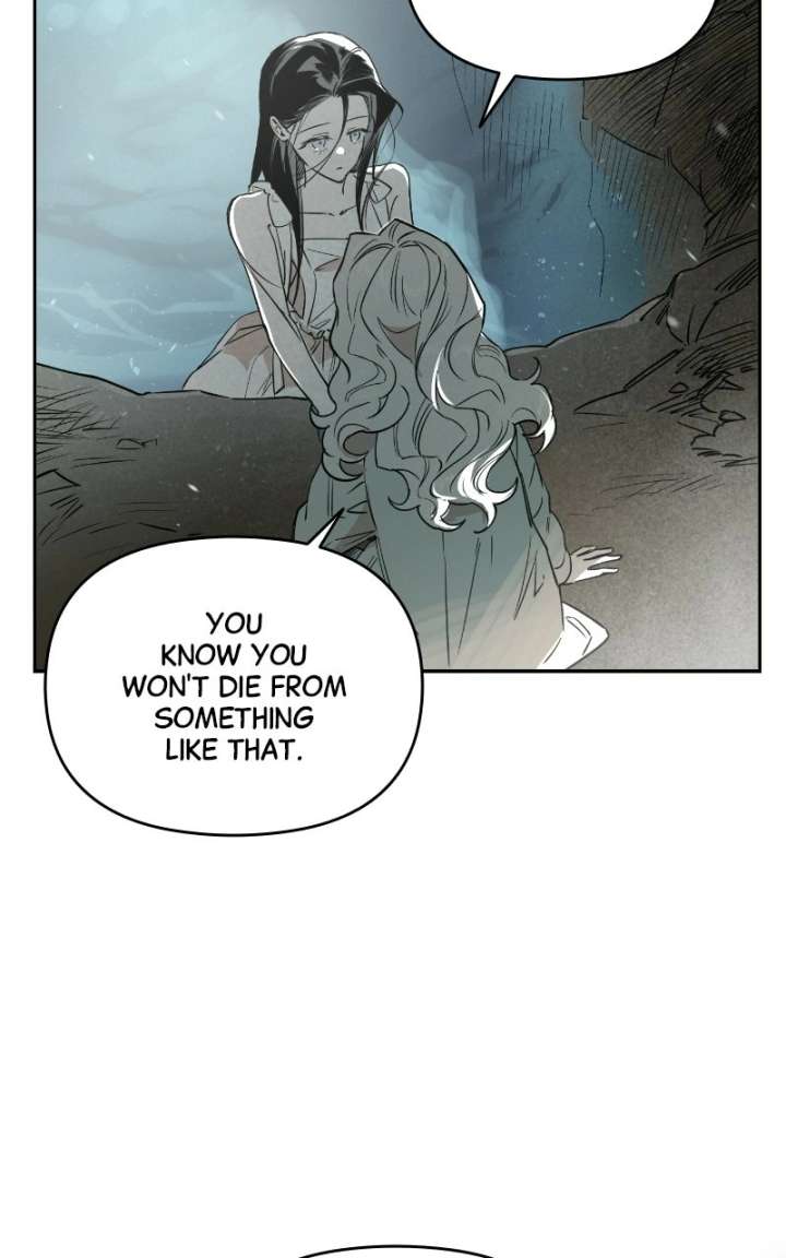 ch 85 47