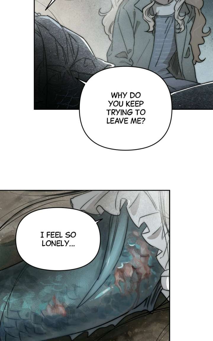 ch 85 66