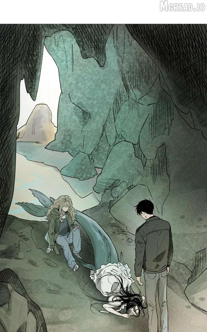 ch 86 48