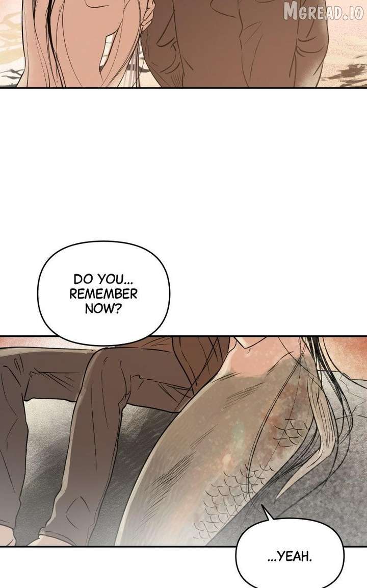 ch 86 55