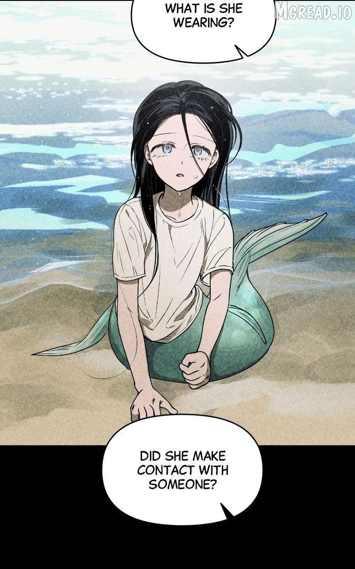 ch 88 19