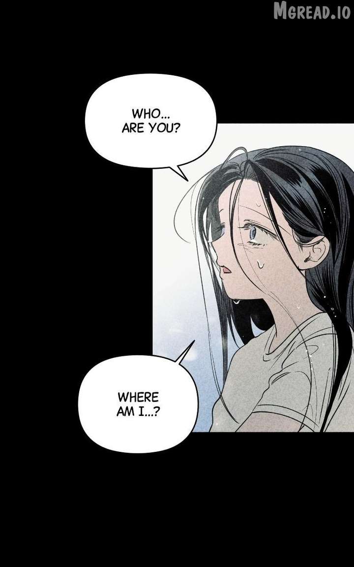 ch 88 20