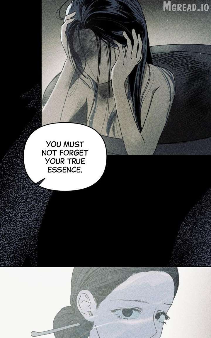 ch 88 24