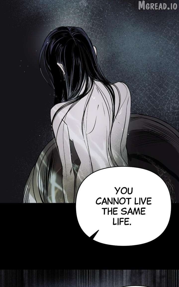 ch 88 49