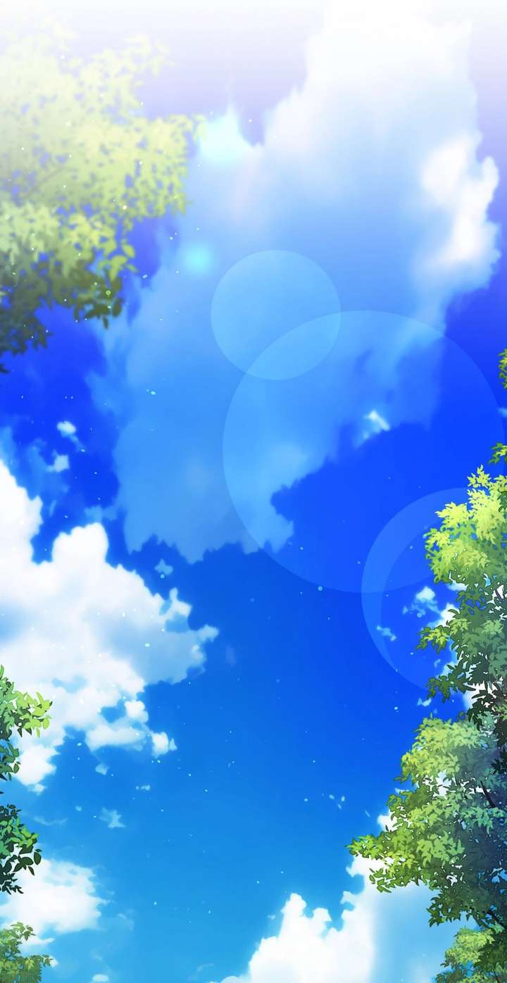 ch 84 23