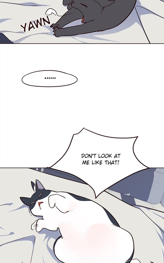 78