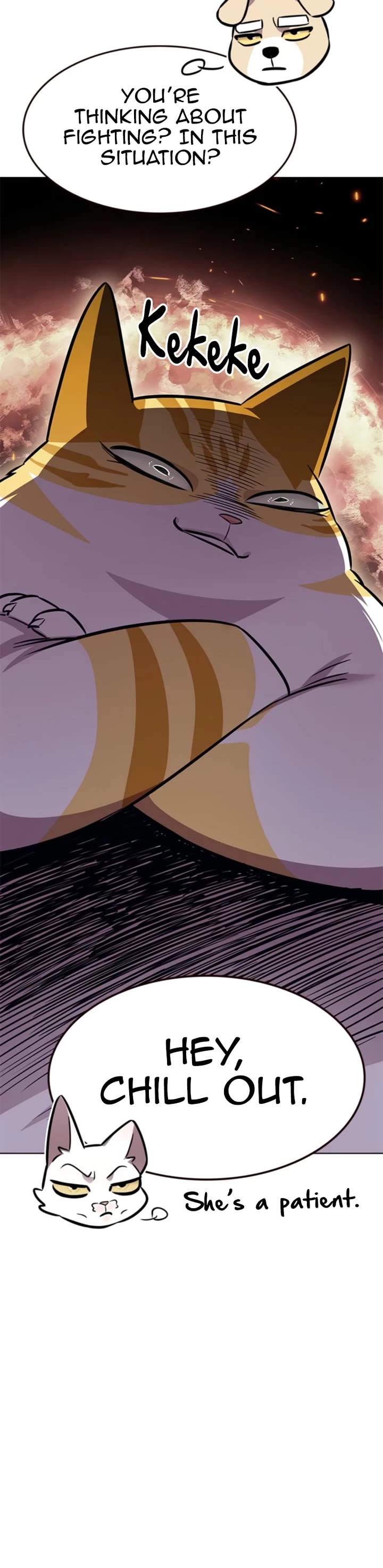 42