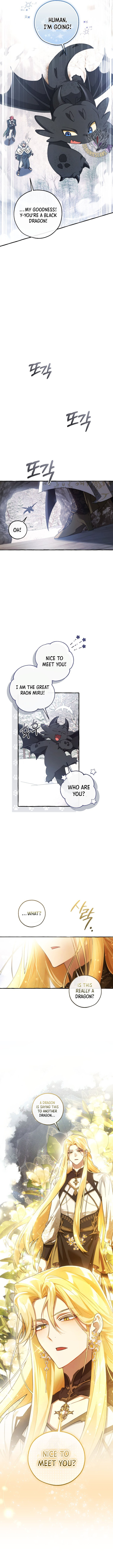 ch 143 12